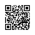 91701-08016-00 Pin, Dowel