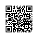 9189683 MIRRORKIT