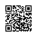 91906-06100-00 Screw
