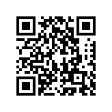 920041117 