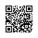 920041129 