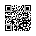 920041133 