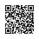 9201102BCK CVOSADDLEBAGLIDASMB,B