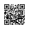 92025-1007 SHIM,30.3X40X0.9