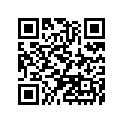 92025-513 シム，T=0.1
