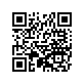 92025-533 シム，T=0.6
