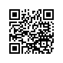 920251067 