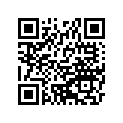 920251668 