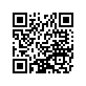 920251756 Shim                  (option)
