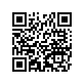 920261381 