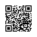 920281198 