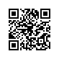 920281325 