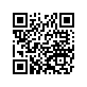 920281389 