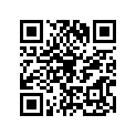 920281767 