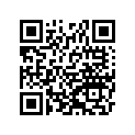 920371313 