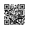 92043-0924 PIN,12X39