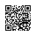 92043-Y024 PIN,10X16