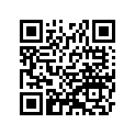 920431036 
