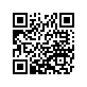 920431113 