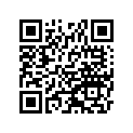 92045-0059 ベアリング(ボ-ル)，5305-A-1