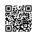 920451303 
