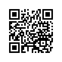 920460008 ПОДШИПНИК ИГОЛЬЧАТЫЙ, 28X34X17
