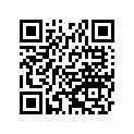 920480029 RACE
