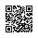 920483706 Race, Clutch