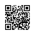 920491011 