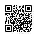 920491091 