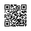 92055-0071 リング(0)