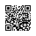 92055-1506 リング(0)，オイル ポンプ