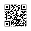 92055-Y029 RING-O