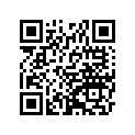 92057-0702 CHAIN,CAM