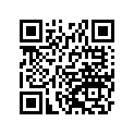 920570110 Цепь