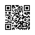 920570633 Chain, 98xrh2020-78n2