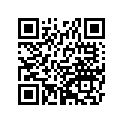 920570678 Цепь
