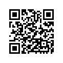 920570755 CHAIN,98XRH2020-128N2