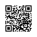 920571287 