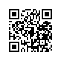 920591128 
