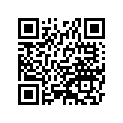 920591267 