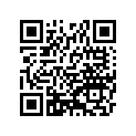 920591581 
