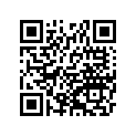 920631065 