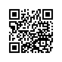 920631131 