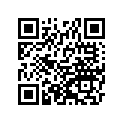 920631312 