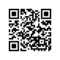 920661125 