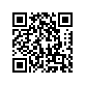 92069041 