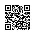 92072-035 バンド，L=80