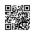 920751065 