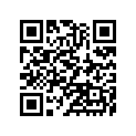 920751137 